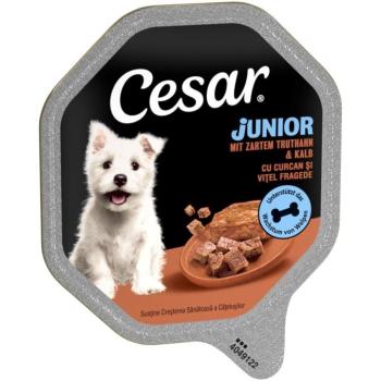 14x150g Cesar Junior pulyka & borjú tálcás nedves kutyatáp kép