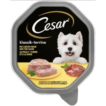 14x150g Cesar Klasszikus terrine csirke & pulyka nedves kutyatáp kép