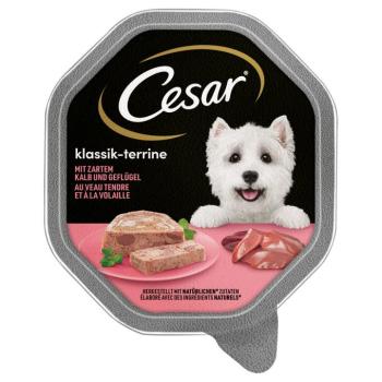 14x150g Cesar Klasszikus terrine borjú & szárnyas nedves kutyatáp kép