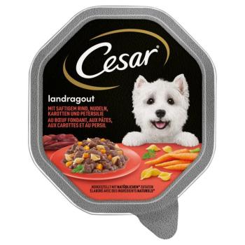 14x150g Cesar Vidéki ragu marha, tészta & sárgarépa nedves kutyatáp kép