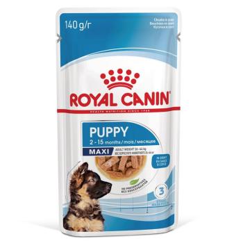 20x140g Royal Canin Maxi Puppy szószban nedves kutyatáp kép