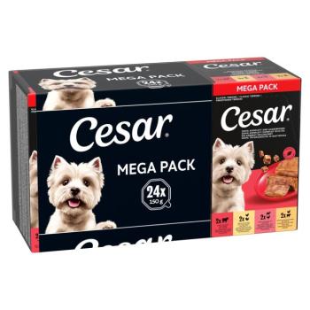 24x150g Cesar tálcás nedves kutyatáp - Klasszikus terrine kép