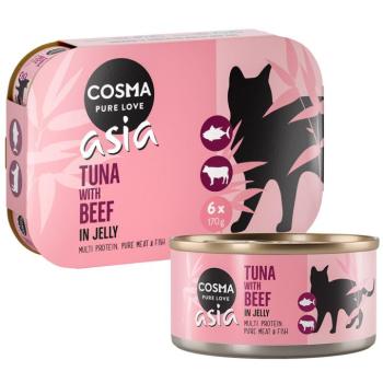 24x170g Cosma Asia aszpikban nedves macskatáp- Tonhal & marha kép