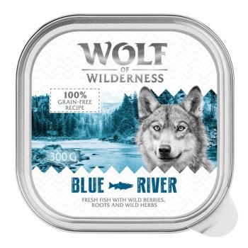 24x300g Wolf of Wilderness Adult nedves kutyatáp - Blue River - hal kép