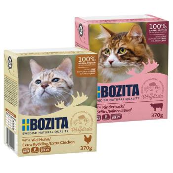 24x370g Bozita falatok nedves macskatáp- Vegyes csomag III 12x darált marhahús + 12x csirke aszpikban) kép