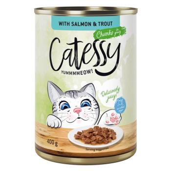 24x400g Catessy falatok nedves macskatáp- Lazac & pisztráng szószban kép