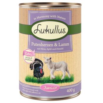 24x400g Lukullus Naturkost Junior pulykaszív & bárány nedves kutyatáp kép