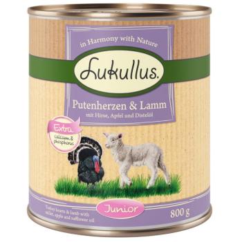24x800g Lukullus Naturkost Junior pulykaszív & bárány nedves kutyatáp kép
