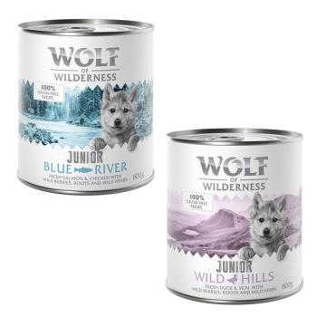 24x800g Wolf of Wilderness Junior - Duo-Protein recept gazdaságos csomag nedves kutyatáp - Vegyes csomag kép