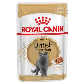 24x85g Royal Canin British Shorthair Adult szószban nedves macskatáp kép