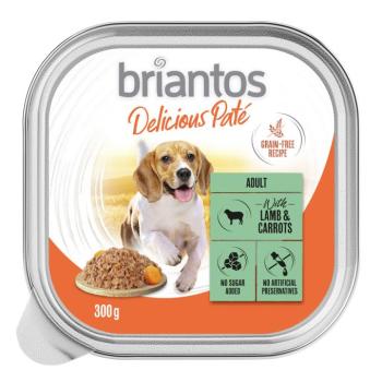27x300g Briantos Delicious Paté Bárány & sárgarépa tálcás nedves kutyatáp kép