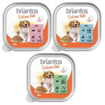 27x300g Briantos Delicious Paté tálcás nedves kutyatáp Mix: hal, bárány, marha kép