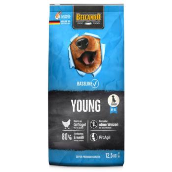 2x12,5kg Belcando Baseline Young száraz kölyökkutyatáp kép