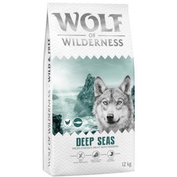 2x12kg Wolf of Wilderness Adult "Deep Seas" - Hering: gabonamentes száraz kutyatáp kép