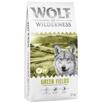 2x12kg Wolf of Wilderness Adult ''Green Fields'' bárány - gabonamentes száraz kutyatáp kép