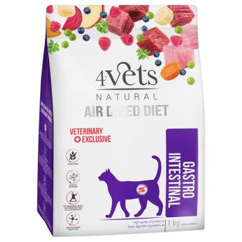 2x1kg 4Vets Natural Feline Gastro Intestinal száraz macskatáp kép