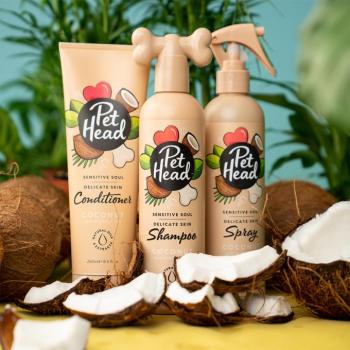 3 darabos Pet Head Sensitive Soul szett (sampon, kondicionáló, spray) kutyáknak kép