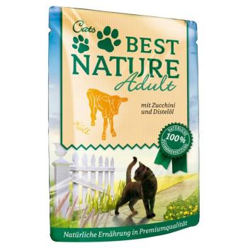 32x 85g Best Nature Cat Adult Borjú, cukkini & sáfrányos szekliceolaj nedves macskatáp kép