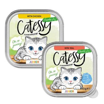 32x100g Catessy Junior falatok szószban vegyes csomag nedves macskatáp kép