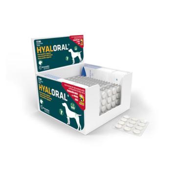 360db Hyaloral étrend-kiegészítő eledel nagy & nagyon nagy testű kutyáknak (>20 kg) kép