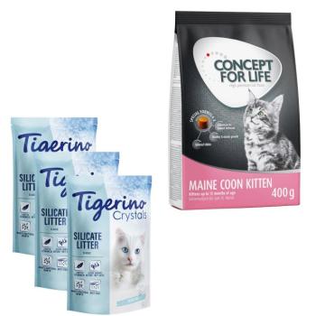 3x5l Tigerino macskaalom + 400g Concept for Life Kitten száraz macskatáp kép