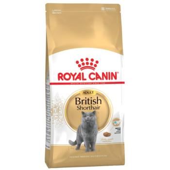 4 kg Royal Canin British Shorthair Adult száraz macskatáp kép