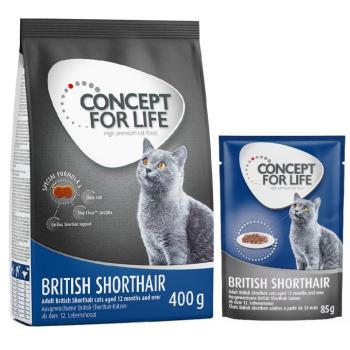 400g British Shorthair Adult Concept for Life száraztáp + 12x85g nedvestáp szószban kép