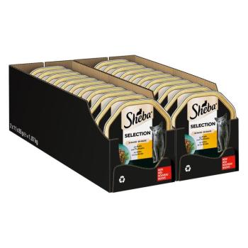 44x85g Sheba borjú & pulyka szószban tálcás nedves macskatáp kép