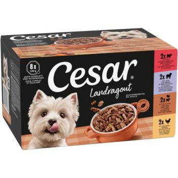48x150g Cesar Country Kitchen Favourites nedves macskatáp vegyes csomag kép