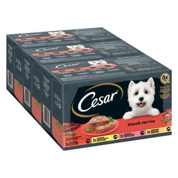 48x150g Cesar klasszikus terrine nedves kutyatáp vegyesen kép