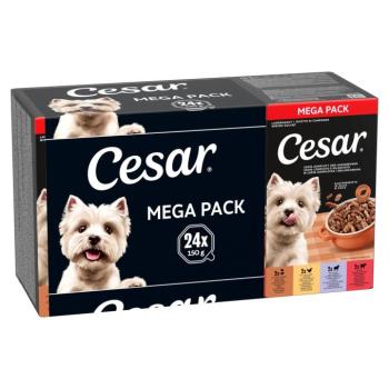 48x150g Cesar tálcás nedves kutyatáp- Vidéki ragu kép
