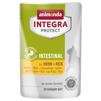 48x85g animonda Integra Protect Adult Intestinal Csirke & rizs nedves kutyatáp kép