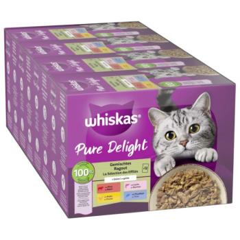 48x85g Whiskas 1+ Adult PURE DELIGHT vegyes raguválogatás aszpikban nedves macskatáp kép