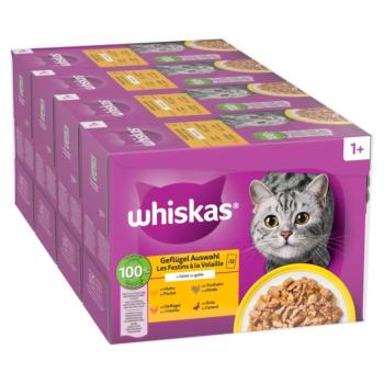 48x85g Whiskas 1+ tasakos szárnyasválogatás aszpikban nedves macskatáp kép