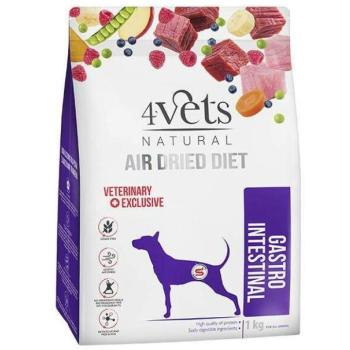 4Vets NATURAL Gastro Intestinal 1 kg kép
