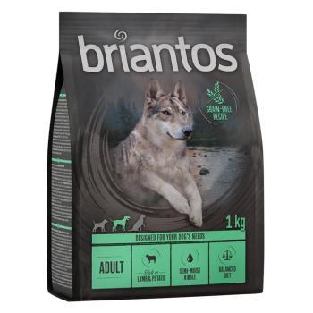 4x1kg Briantos Adult bárány & burgonya - gabonamentes száraz kutyatáp kép