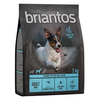 4x1kg Briantos Adult Mini lazac & burgonya - gabonamentes száraz kutyatáp kép