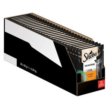 56x 85g Sheba Ínyencségek aszpikban pulyka nedves macskatáp kép