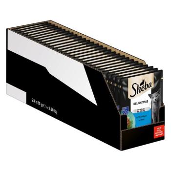 56x 85g Sheba Ínyencségek aszpikban tonhal nedves macskatáp kép