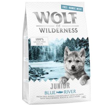 5x1kg Wolf of Wilderness Junior "Blue River" - szabad tartású csirke & lazac száraz kutyatáp kép