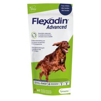 60db Flexadin Advanced étrende-kiegészítő kutyasnack kép