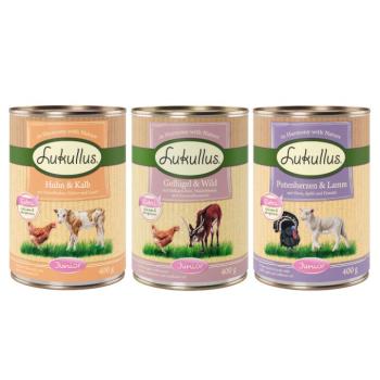 6x400g Lukullus Naturkost Junior nedves kutyatáp 3 változattal kép