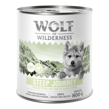 6x800g Wolf of Wilderness Junior “Expedition” nedves kutyatáp - Steep Journey - Szárnyas báránnyal kép