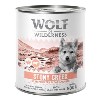 6x800g Wolf of Wilderness Junior “Expedition” nedves kutyatáp - Stony Creek - Szárnyas marhával kép