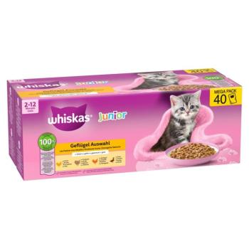 80x85g Whiskas Junior szárnyasválogatás aszpikban nedves macskatáp kép