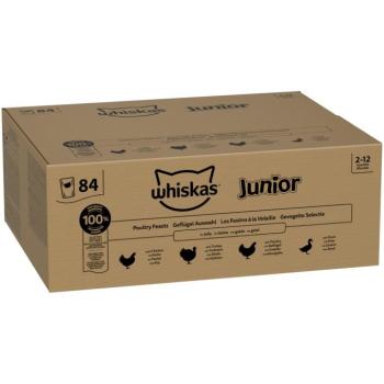 84x85g Whiskas Junior szárnyasválogatás aszpikban nedves macskatáp kép