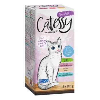 8x100g Catessy finom pástétom 2. vegyes csomag nedves macskatáp kép