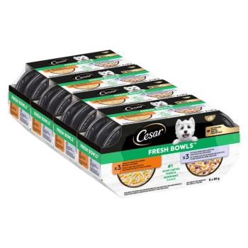 96x85g Cesar Fresh Bowls csirke & kacsa szószban nedves kutyatáp kép