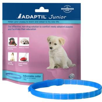 Adaptil Junior nyakörv kutyáknak 1 db kép