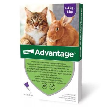 Advantage Spot-on Cat 0,8 ml (4 kg-tól) 4x kép